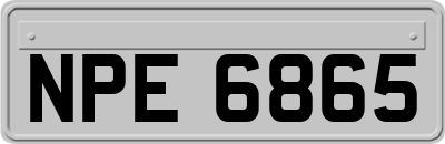 NPE6865