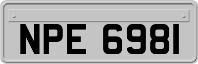 NPE6981