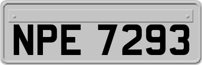NPE7293