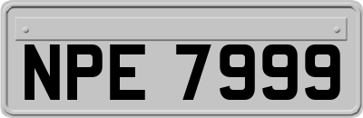 NPE7999