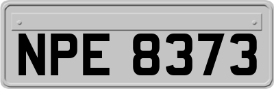 NPE8373