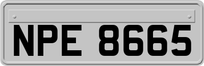 NPE8665