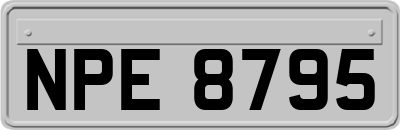 NPE8795