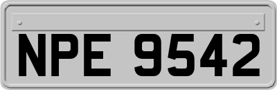 NPE9542