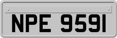 NPE9591