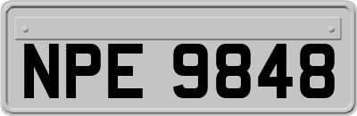 NPE9848