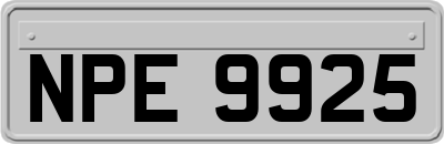 NPE9925