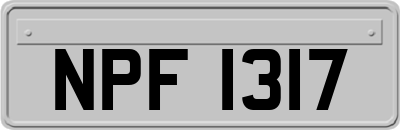NPF1317