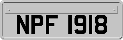NPF1918