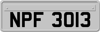 NPF3013