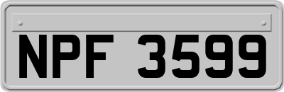 NPF3599