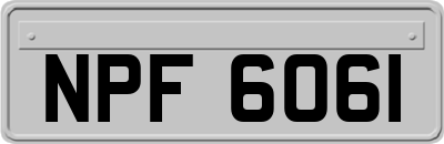 NPF6061