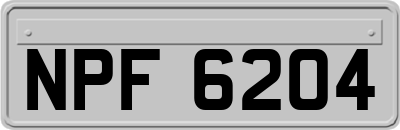 NPF6204