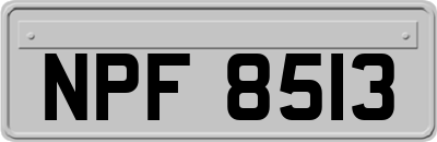 NPF8513