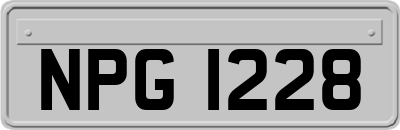 NPG1228