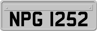NPG1252