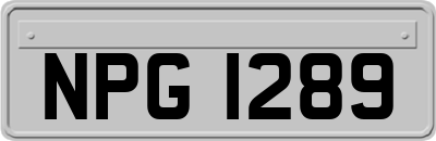 NPG1289