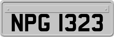 NPG1323