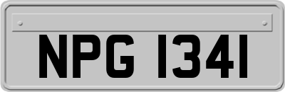 NPG1341