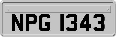 NPG1343