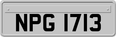 NPG1713