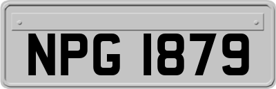 NPG1879