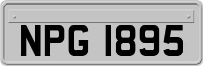 NPG1895