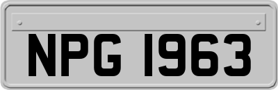 NPG1963