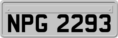 NPG2293