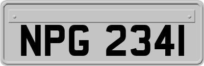 NPG2341