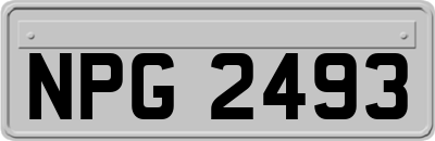 NPG2493