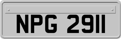 NPG2911