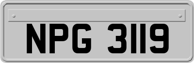 NPG3119