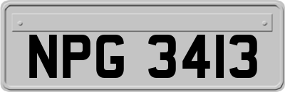 NPG3413