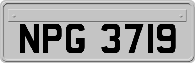 NPG3719