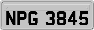 NPG3845