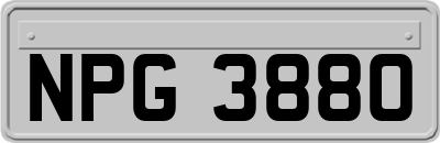 NPG3880
