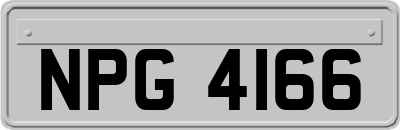 NPG4166