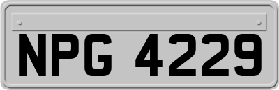 NPG4229