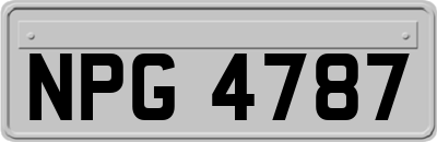 NPG4787