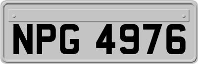 NPG4976