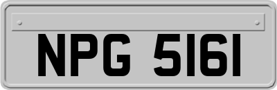 NPG5161
