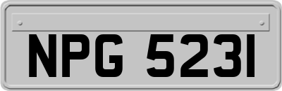 NPG5231