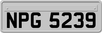 NPG5239