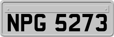 NPG5273