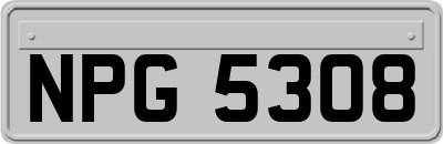 NPG5308