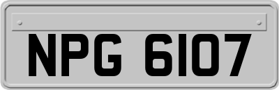 NPG6107