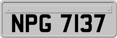 NPG7137