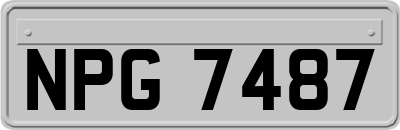 NPG7487
