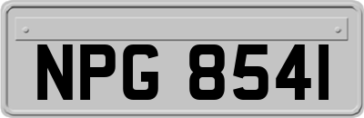 NPG8541